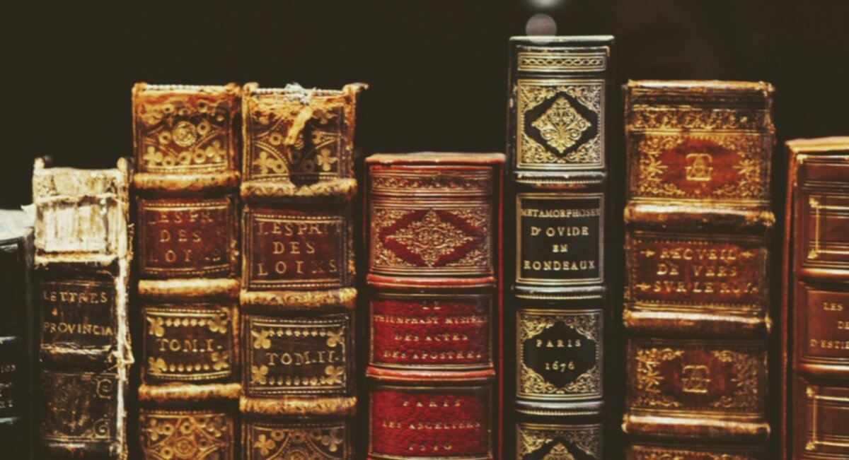 https://images.unsplash.com/photo-1515325595179-59cd5262ca53?ixlib=rb-1.2.1&q=80&fm=jpg&crop=entropy&cs=tinysrgb&dl=natalia-y-f5xddISq428-unsplash.jpg 
