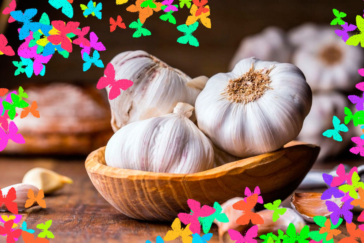 Полезные свойства чеснока