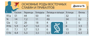  - И что же установила ДНК-генеалогия о происхождении русских? 
- О генезисе русского народа мы можем пока говорить лишь в рамках последних 5000 лет, причем именно на Русской равнине. Основные наследственные группы современных русских - это три основных рода, R1a (его у нас 51%), I2a (12%) и N1a1 (14%). Кроме них, на Русской равнине обитали и эрбины, носители рода - гаплогруппы R1b. Они занимали территорию от Каспия до Балтики. А потом почти все ушли через Кавказ до Пиренейского полуострова. И заселили Западную и Центральную Европу. Сейчас их потомки среди современных русских составляют 5%.

- Чем отличаются эти три основные рода, из которых, как вы сказали, и состоит основа русских?

- Родоначальники, патриархи «русского» рода R1a - это древние арии, появившиеся здесь 5 - 6 тысяч лет назад.