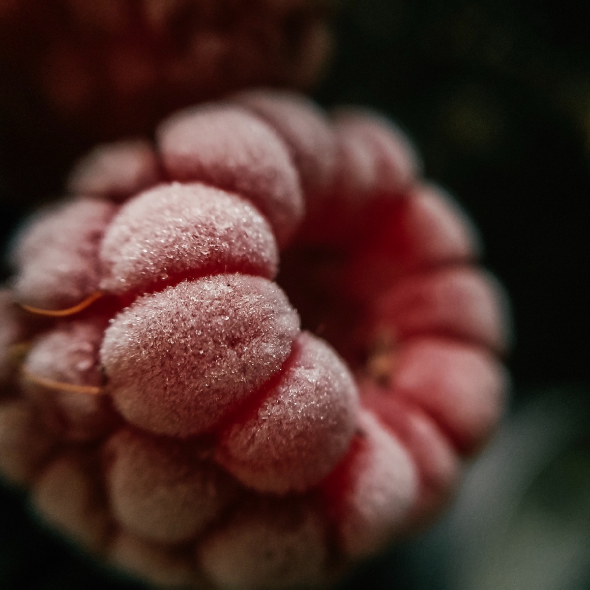 Ягодное лукошко