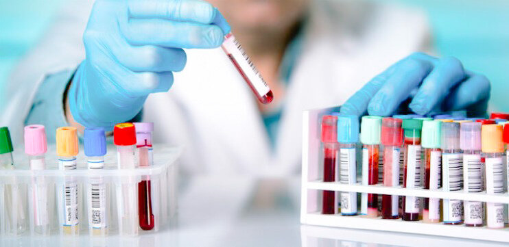 Источник: открытый доступ 