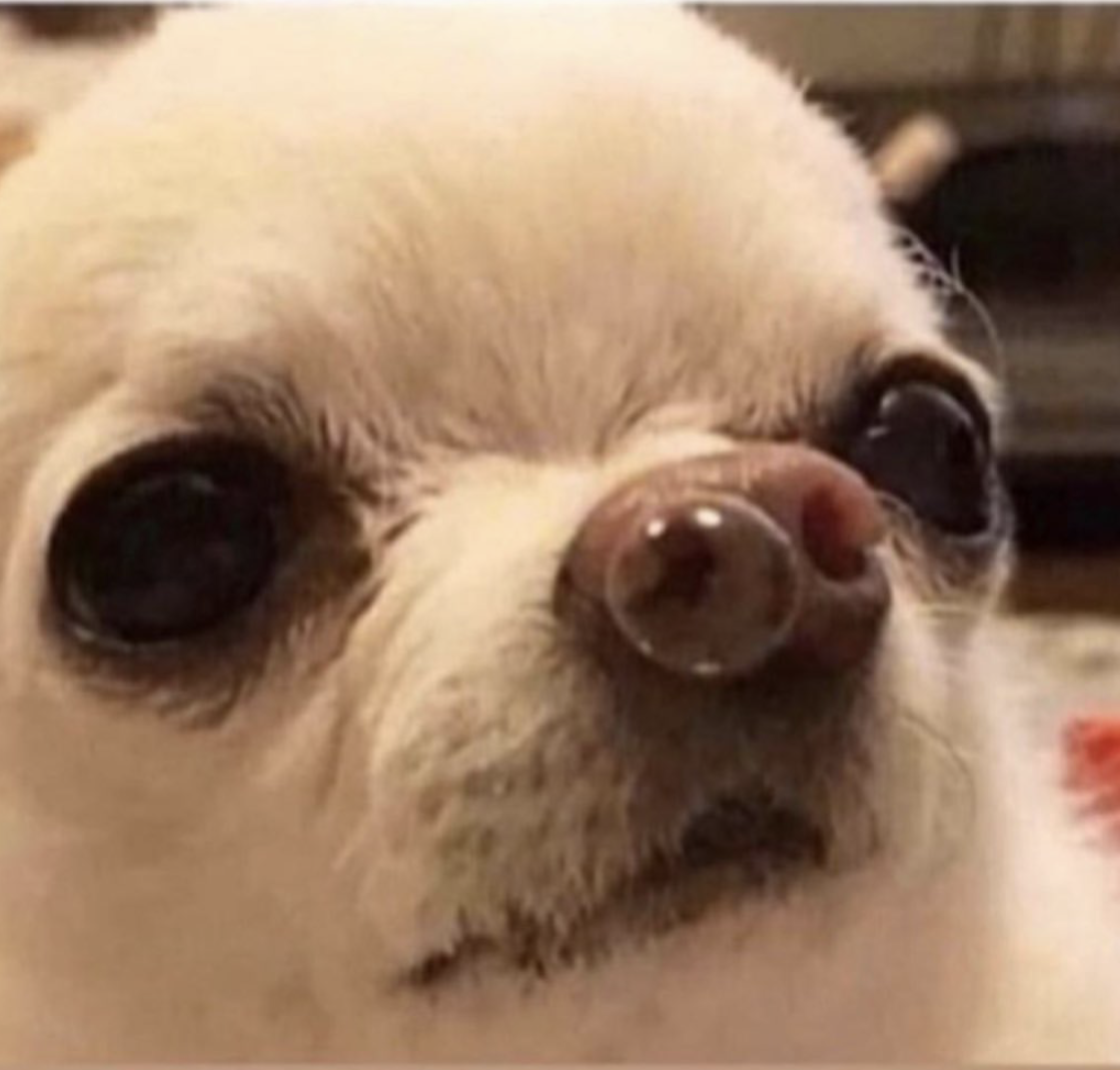 фото соц.сети ^^ на мой взгляд олицетворение прокрастинации 