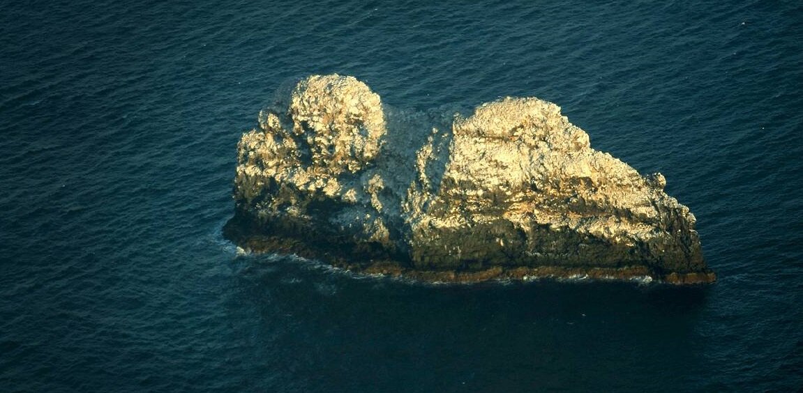 Ужасающая красота. Гхм, не вижу ничего ужасного...