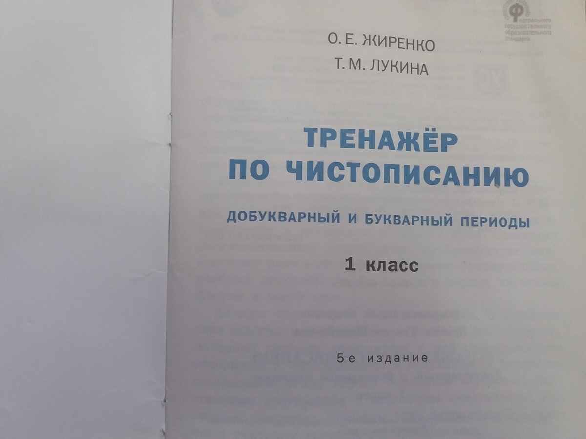 Самые умные прописи для дошкольников и школьников 1 класса. | Мира Фельдман  | Дзен