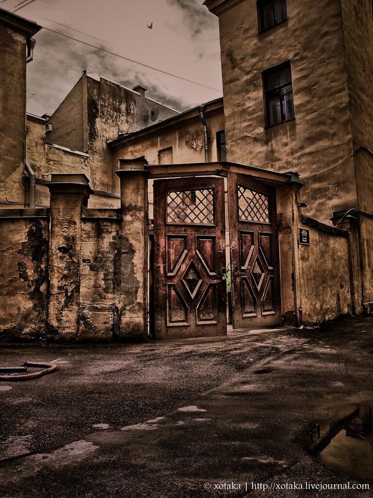 Петербург. Яндекс. Картинки.