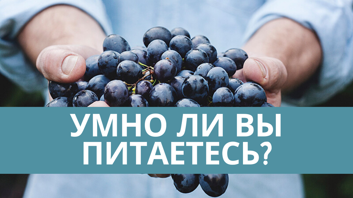 Что такое умный что ли. Что такое умный что ли