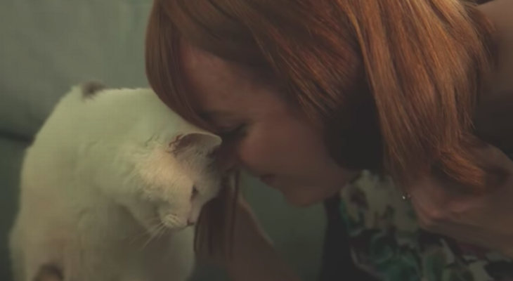 Фотоматериал: https://www.bbc.co.uk/ https://www.bradenton.com/ https://yandex.by/ https://twitter.com/ http://petnewsstories.blogspot.com/