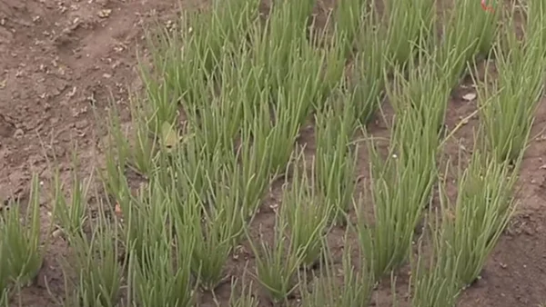 Подписывайтесь на канал, чтобы  не пропустить новые статьи