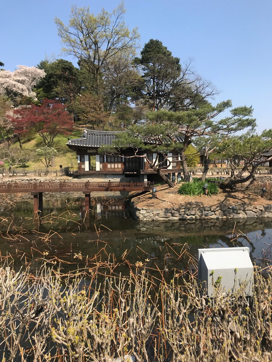 Зажила старушка словно в сказке.