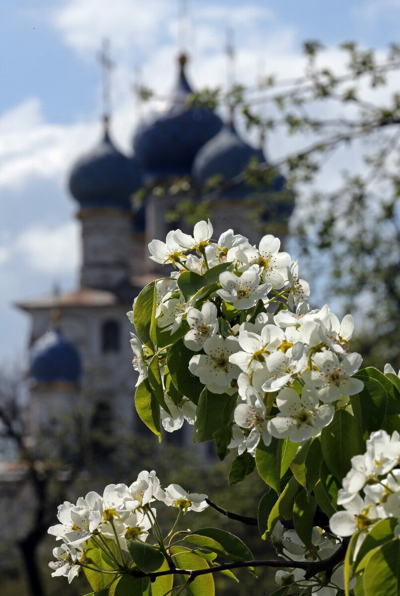 Последние деньки мая.