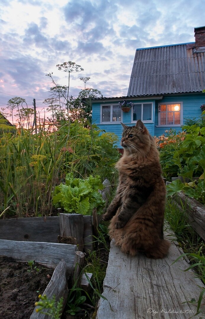 фото использовано в качестве иллюстрации. Источник "Яндекс.Картинки"