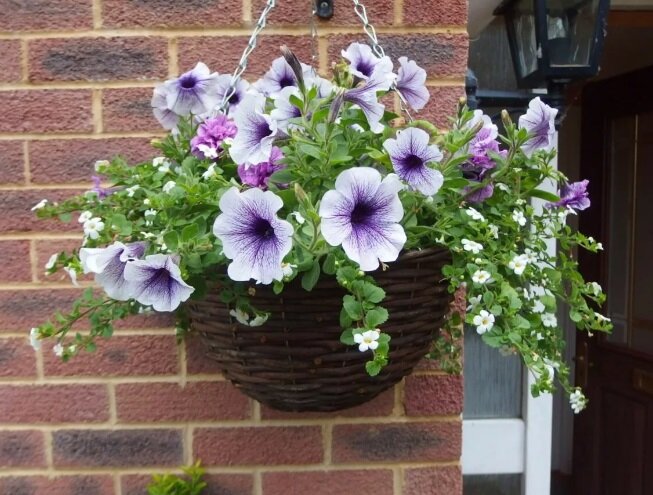 Источник фото: evrookna-mos.ru