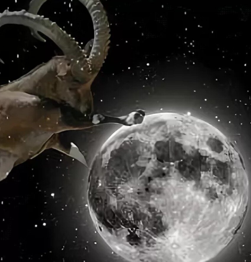 Эмоциональный фон Овнов в Затмение будет повышен...