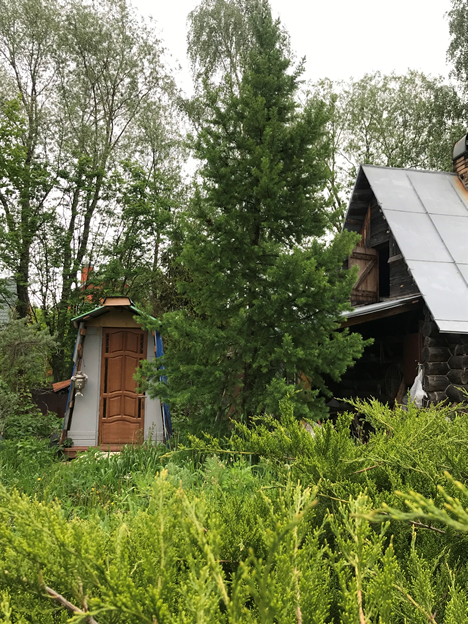 Фото автора.    