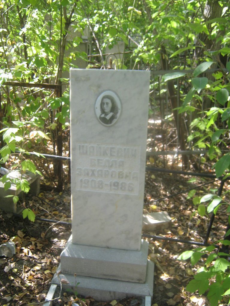 Памятник Б. З. Шайкевич. Фото из открытых источников