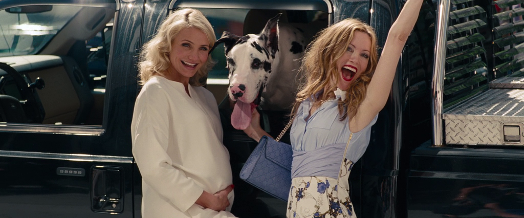 Карли (Кэмерон Диаз) и Кейт ( Лэсли Мэнн )- любовница и жена одного и того же парня, ставшие подружками.