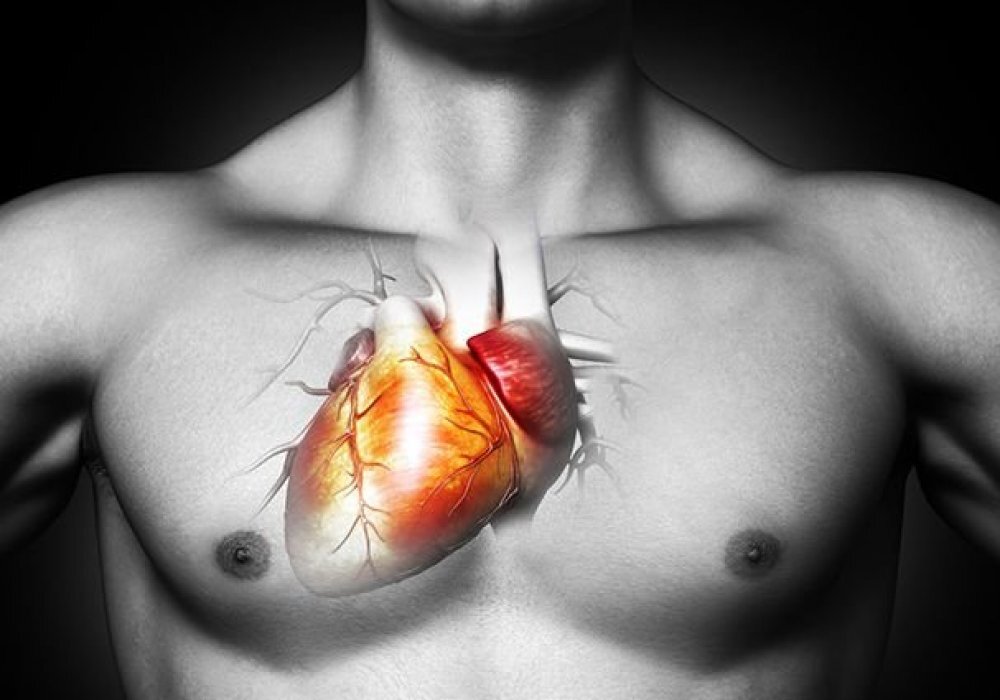 Сердце с правой стороны как называется. Где находится сердце у человека. Ситуа инверсус тоталис. Анатомия и физиология се. Сердце с правой стороны как называется.