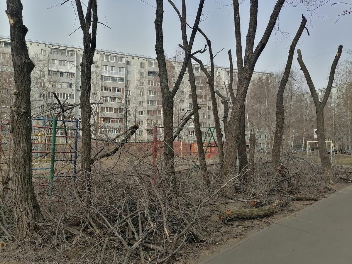 по "горячим" следам благоустроителей..