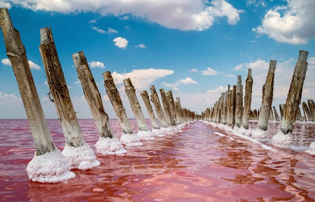 Озеро - Сасык-Сиваш