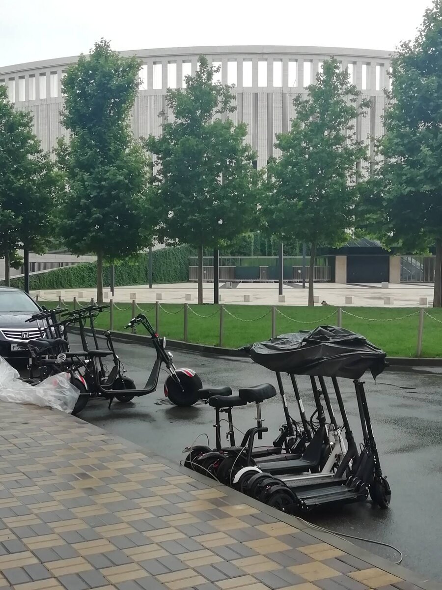 скучают кони под дождем