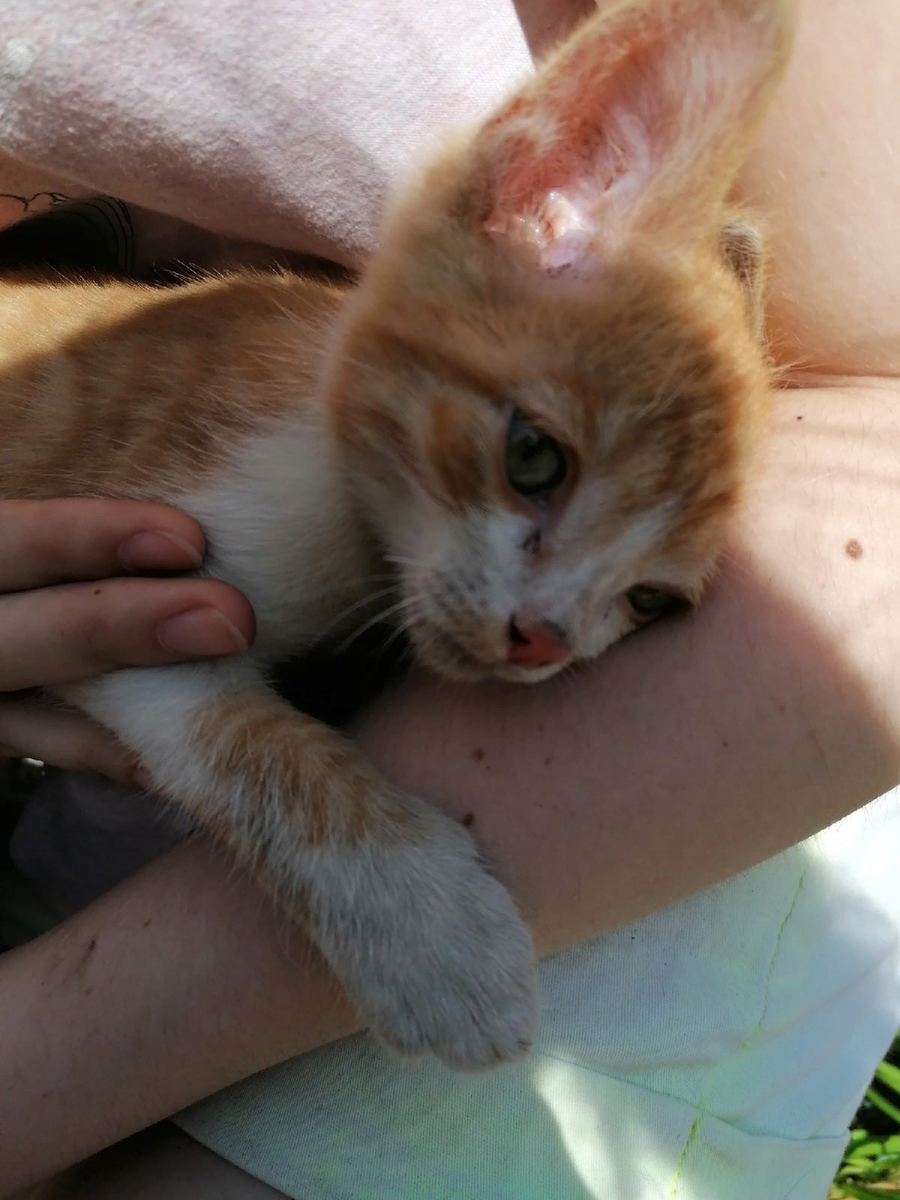 После того, как достали из-под машины 