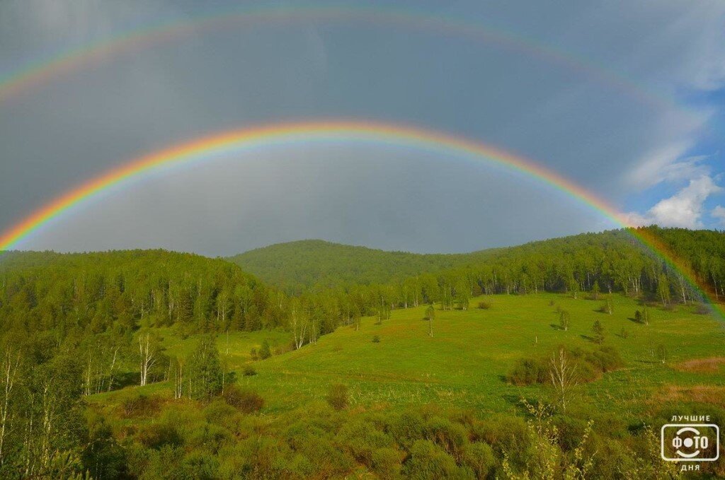 яндекс картинка