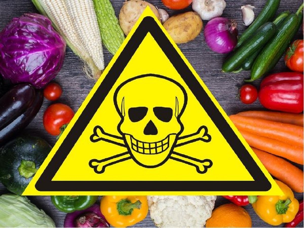 Фото взято из открытых источников 