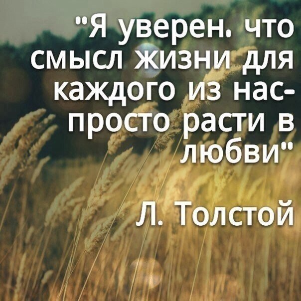 Заманчиво, не правда ли? 