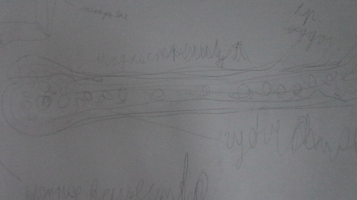 Кость изнутри