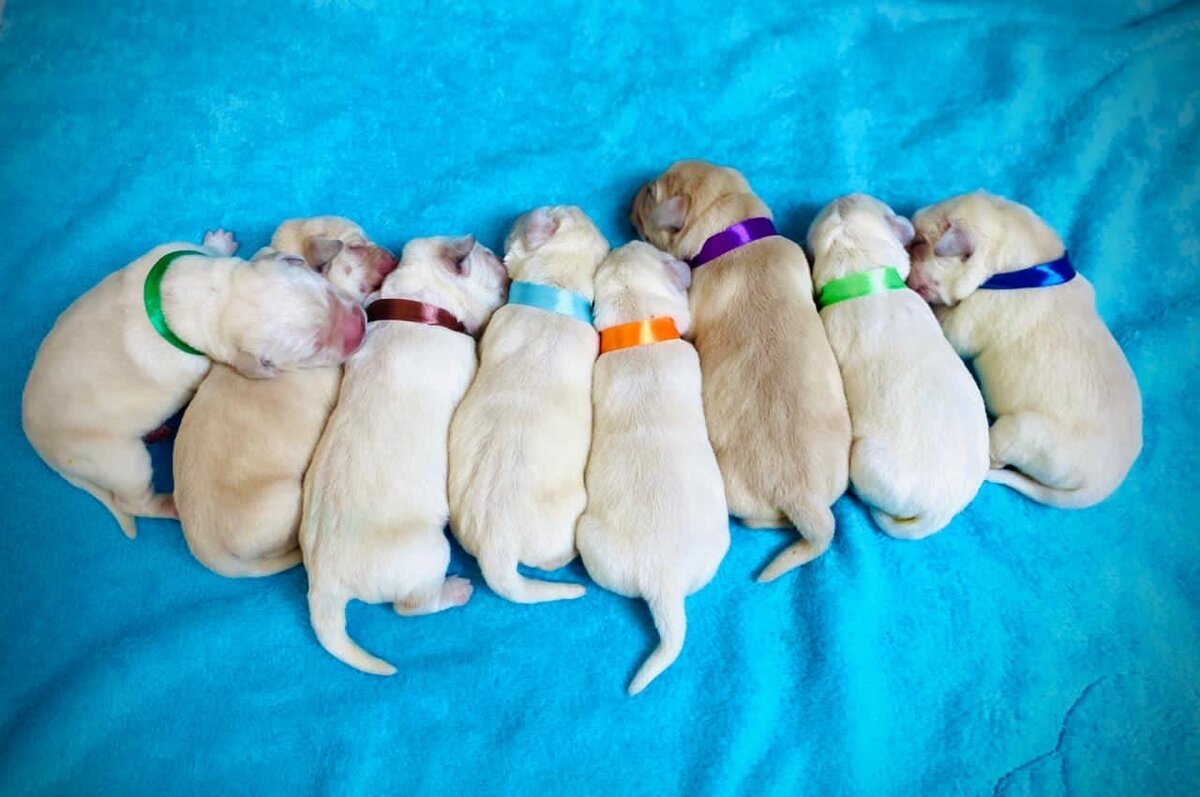 Малышам 1 день