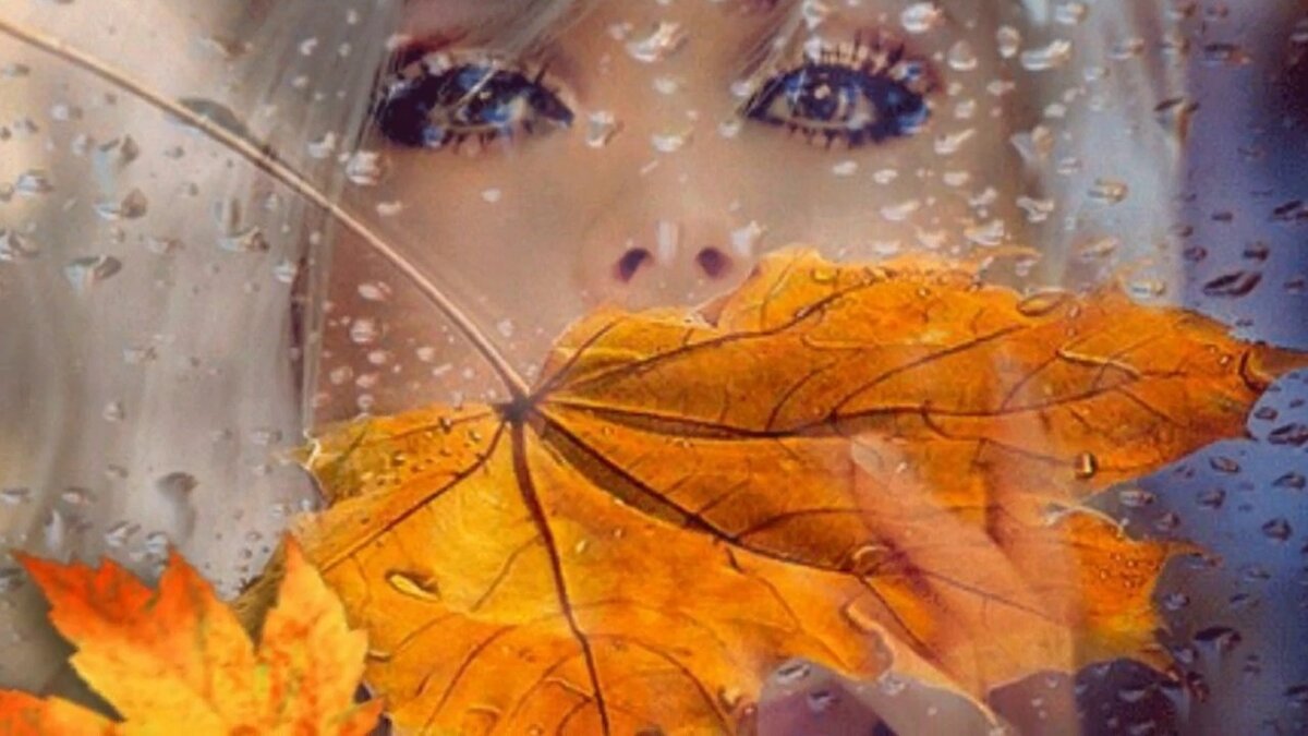 Фото из открытого источника Яндекс 