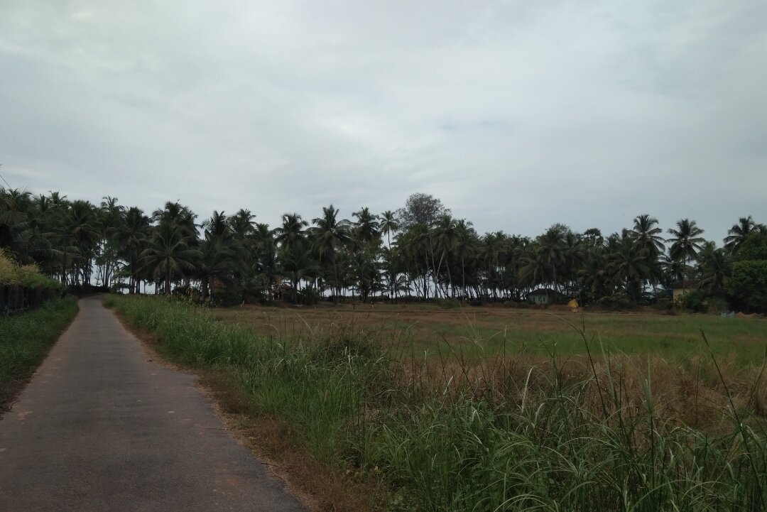 дорога к морю