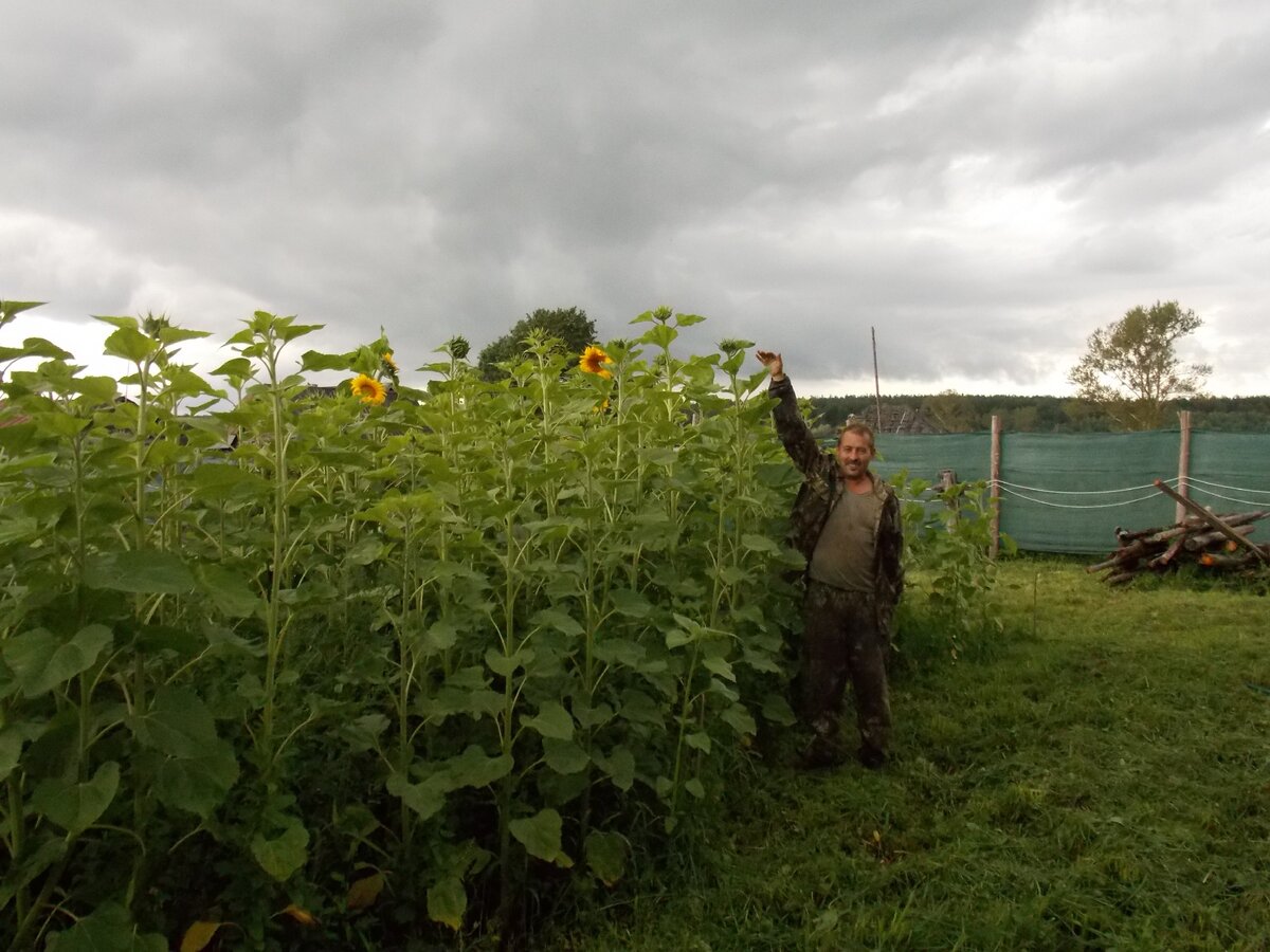 Забор. Затеняющая сетка как основное покрытие. Прозрачность, вид через ...