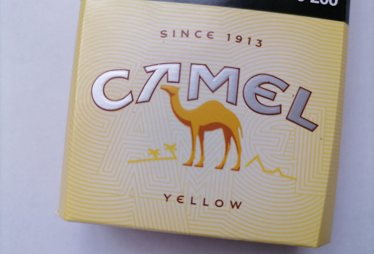 Пачка сигарет кэмел желтый. Сигареты кэмел. Camel Yellow сигареты. Кэмел желтый 2020.