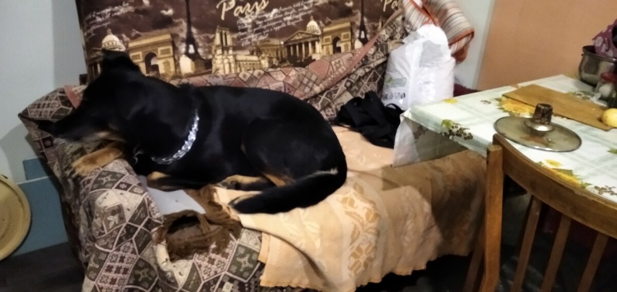 Это Нора, герой нашей истории