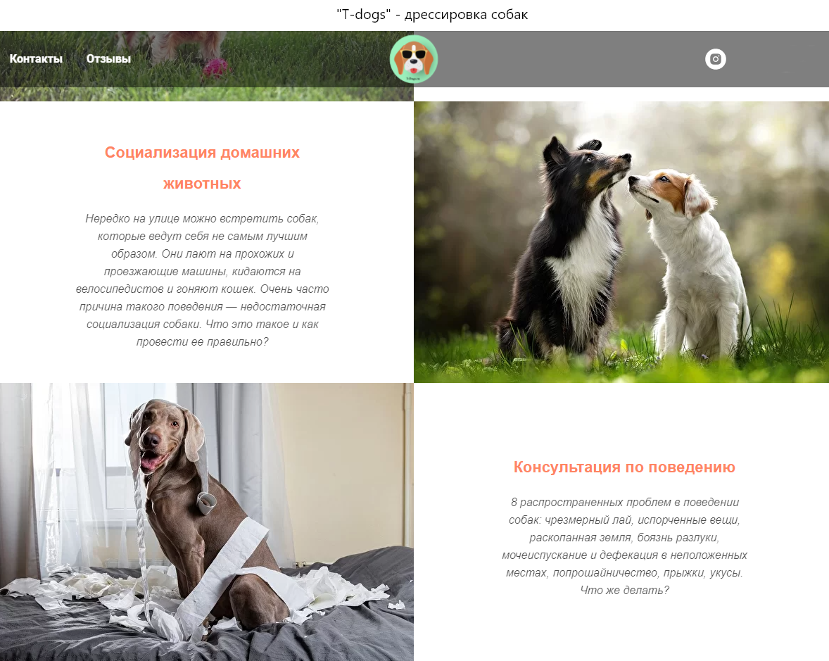 Здесь и далее в галерее скриншот экрана с сайта t-dogs.ru. Использовано с разрешения правообладателя