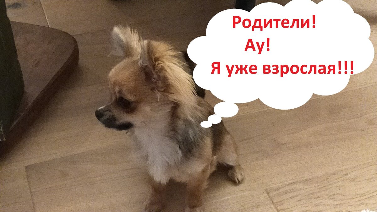 Да что вы говорите, мадемаузель!)))) Неожиданный поворот событий.