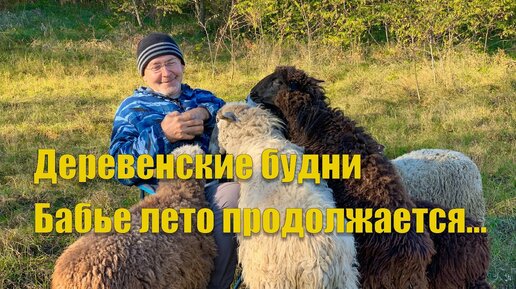 #42 Деревенские будни. Бабье лето продолжается!