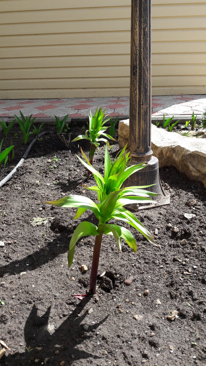 29 апреля. Фото автора