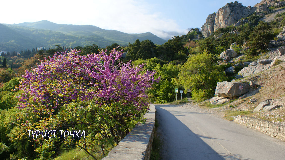 Дорога Симеиз – Кацивели