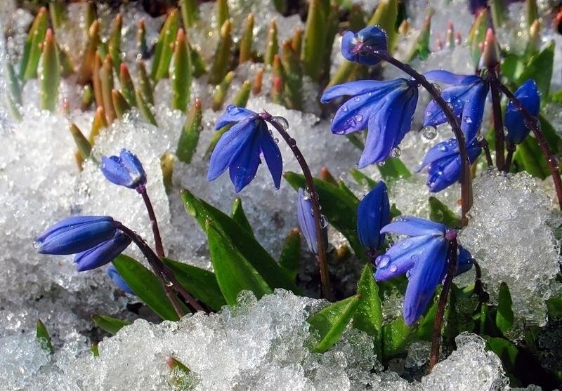  alevtinal.blogspot.com