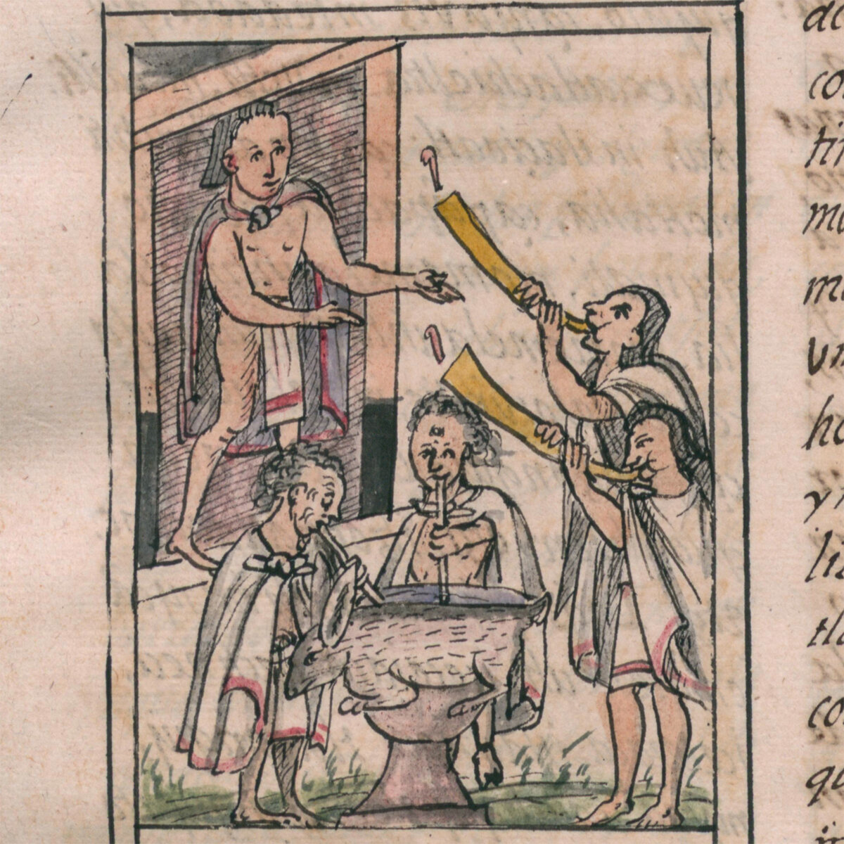 Фрагмент. Общая история о делах Новой Испании. Бернардино де Саагун, 1547—1577 гг. Коллекция Biblioteca Medicea Laurenziana di Firenze.