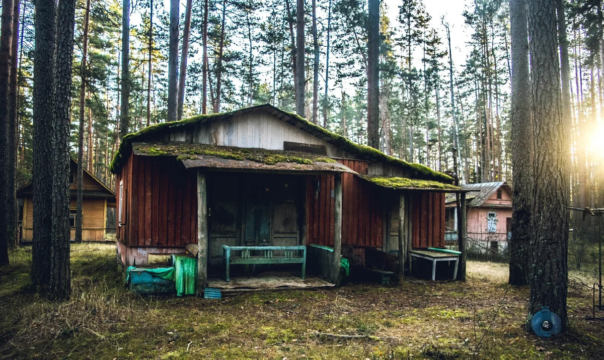 Крыша поросла мхом