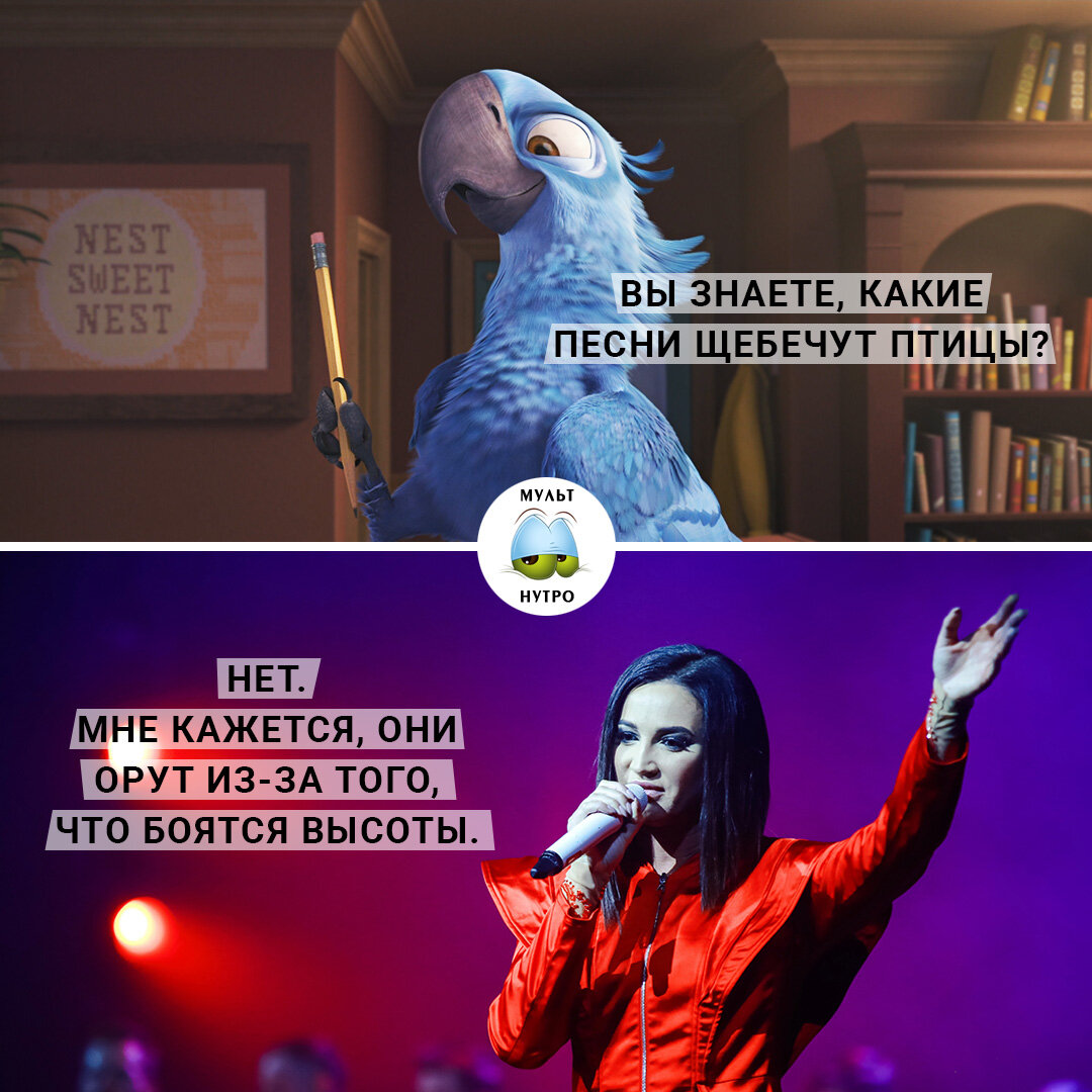 (мультфильм «РИО») 