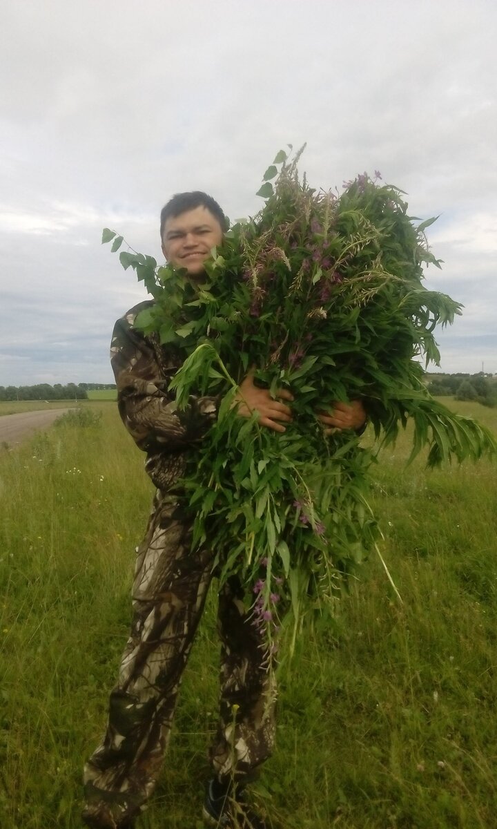 Собрал Иван чай