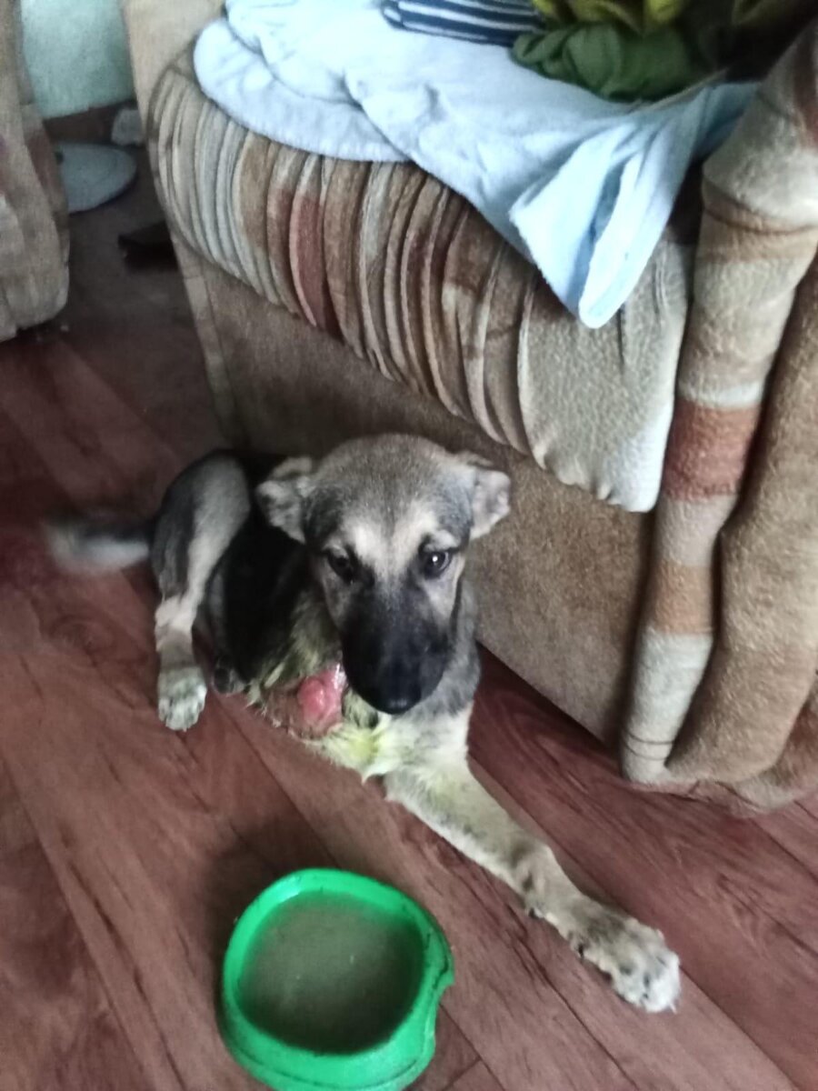 Гоша вас ждёт.. 