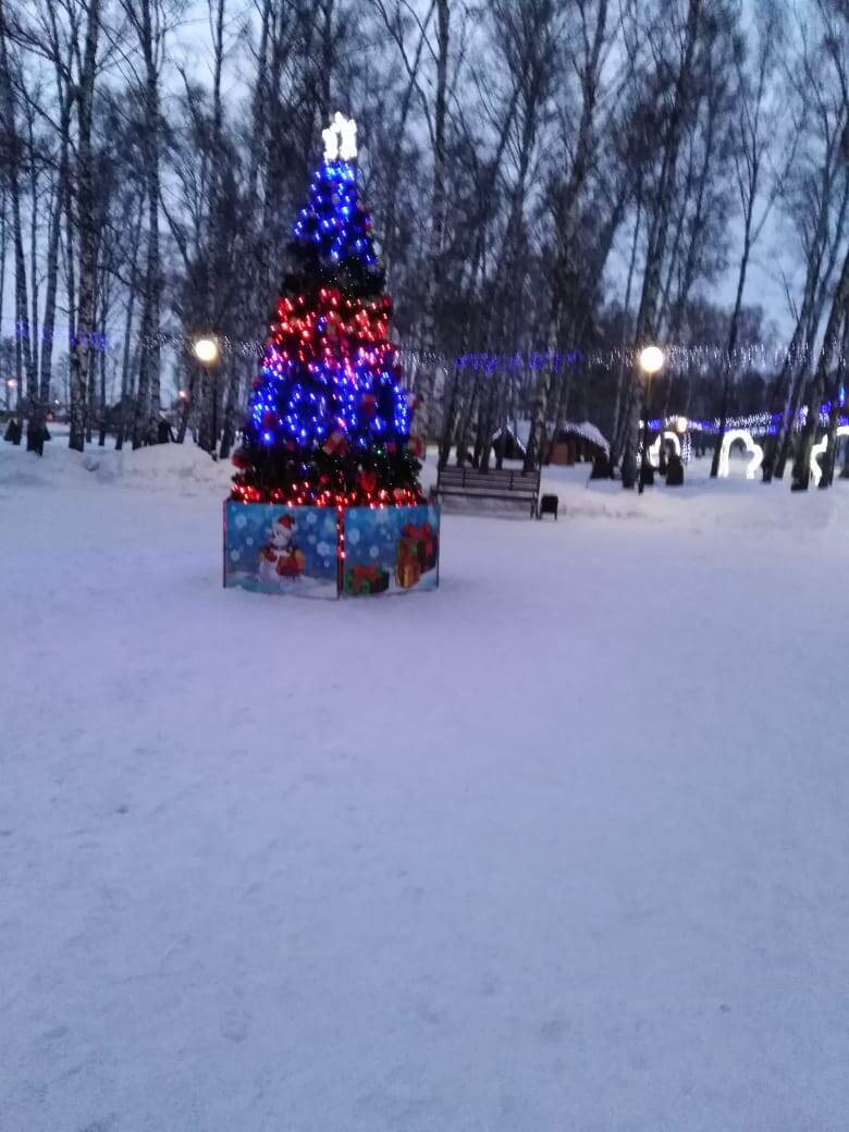 такая елка стояла в нашем парке в прошлом году.