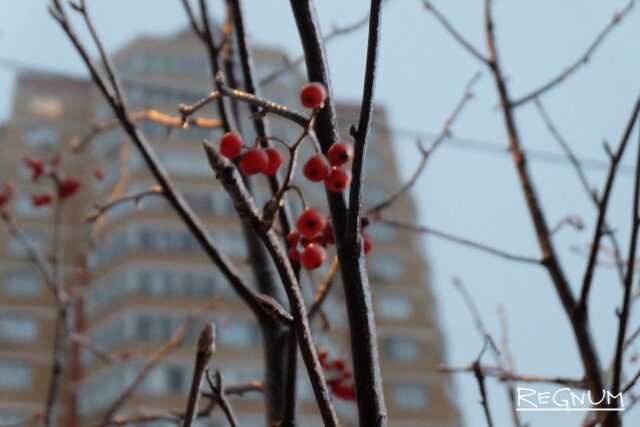    Осень Наталья Стрельцова © ИА REGNUM
