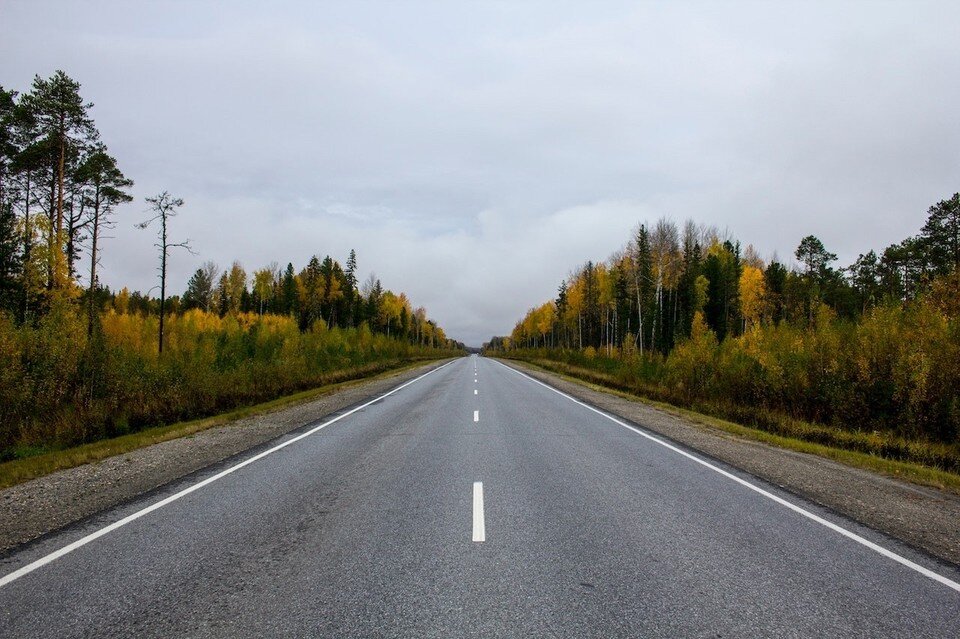     Фото: pexels.com