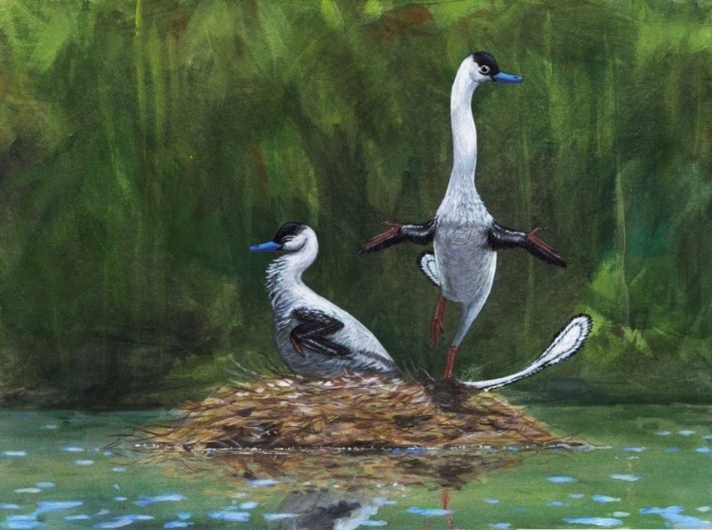 Переснимите мультфильм «утиные истории», даёшь «хальшкаропториные истории»!